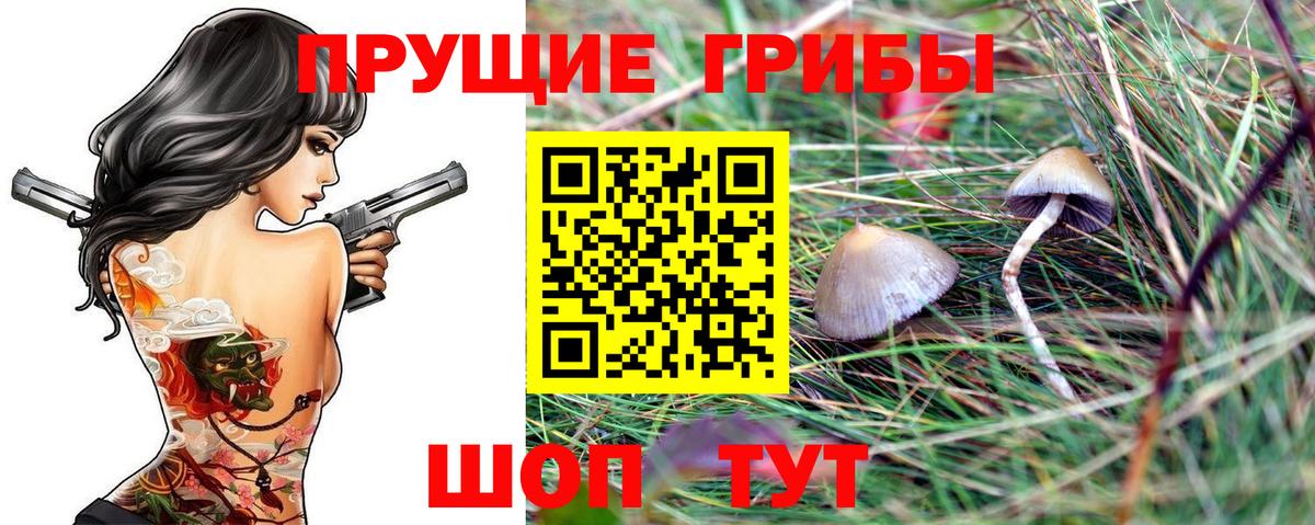 Верхняя Салда  Галлюциногенные грибы MAGIC MUSHROOMS  Вход с VPN 